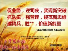 直销业务部上半年经营总结及下半年规划24页.ppt