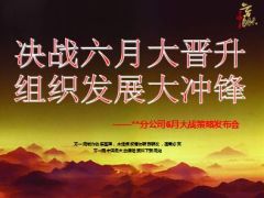 分公司6月大战组织发展策略发布会37页.ppt