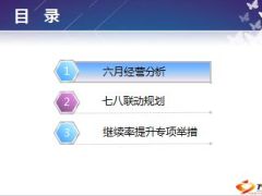 分公司保费部六月总结暨七八联动工作规划34页.ppt