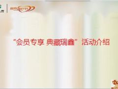 会员专属利益回馈活动介绍平台搭建国寿大瑞鑫32页.ppt