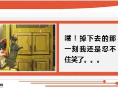 每日快乐早会15年6月13日使用15页.ppt