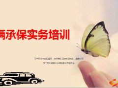 车辆承保实务培训48页.ppt