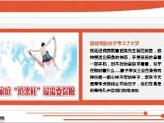 顶梁柱患癌收入中断8年前给儿子买的保险帮助孩子考上了大学13页.ppt