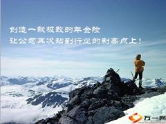 新华盛世赢家产品背景解析和推动34页.ppt