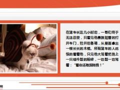 每日快乐早会15年6月15日使用16页.ppt