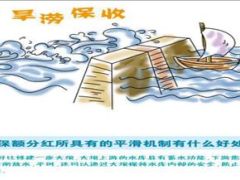 天安富贵天保盈再看保额分红33页.ppt