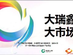中国人寿瑞鑫典藏版市场话术27页.ppt