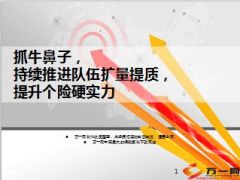 持续推进队伍扩量提质提升个险硬实力29页.ppt