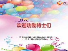 保险功勋表彰流程及方案宣导19页.ppt