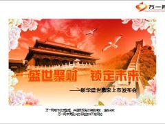 新华盛世赢家上市发布会62页.ppt