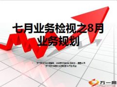 个险七月业务检视之8月业务规划37页.ppt