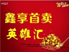 泰康鑫享人生首卖英雄汇38页.ppt