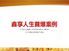 泰康鑫享人生案例销售感言6页.ppt