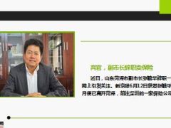 卖保险市长行长和名星纷纷下海10页.ppt