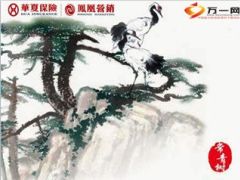 华夏常青树危重疾病保险2014尊享版定位卖点责任案例25页.ppt