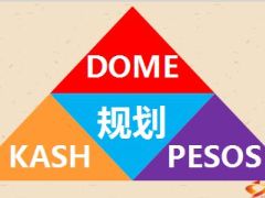 专业化收展管理训练规划25页.ppt