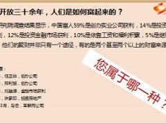 理财产说会中国私人财富报告新华盛世赢家73页.ppt