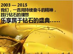 2015年中支上半年钻石沙龙二季度钻石荣誉表彰宣导26页.ppt