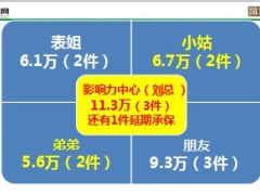 一个影响力中心快速带来国寿大瑞鑫12件35页.ppt