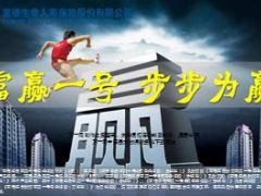 富德生命人寿富赢一号项目收益限额产品篇77页.ppt