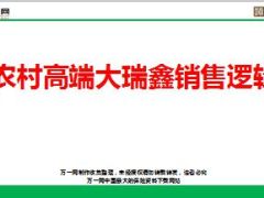 农村高端国寿大瑞鑫销售逻辑42页.ppt