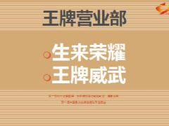 月度王牌部KPI数据分析报告40页.ppt