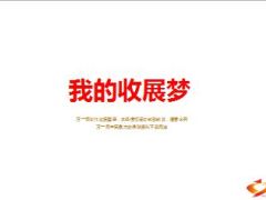 我的收展梦分享21页.ppt