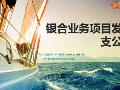 团险银合业务项目发布18页.ppt