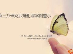 销售第三方理财涉嫌犯罪案例警示23页.ppt