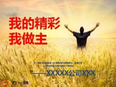 精英或者团队主管个人介绍模板20页.ppt