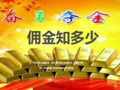 营销员佣金管理分类计发条件层级佣金大不同20页.ppt