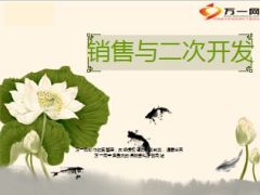 销售与二次开发59页.ppt