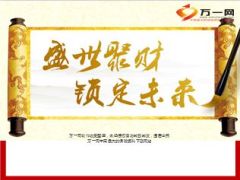 新华盛世赢家优势案例27页.ppt