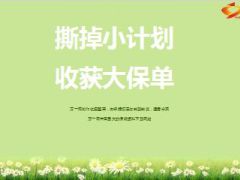 撕掉小计划收获大保单分享24页.ppt