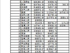 2015年前五月人身保险公司原保险保费收入排名表.xls