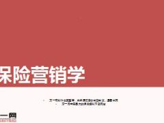 保险营销学战略规划实施较理论49页.ppt