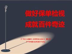保单检视批量开发家族市场分享23页.ppt