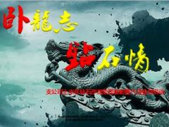 支公司上半年钻石沙龙荣誉表彰暨八月业务启动45页.ppt