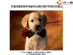 一张图一句话诉说人生哲理61页.ppt