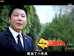 视频保险是什么保险文化建设成果展示会.rar