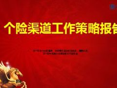 个险渠道工作策略报告23页.ppt