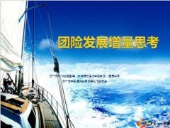 团体保险增量思考政保业务渠道业务44页.ppt