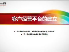 团险渠道客户经营平台的建立10页.ppt