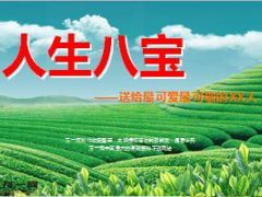 保险人人生八宝20页.ppt