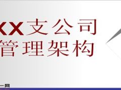 保险公司支公司管理架构组织机构图8页.ppt