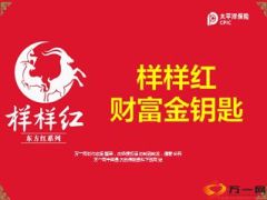 太平洋东方红系列样样红财富金钥匙34页.ppt