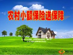 国寿农村小额保险背景政策要求保障方案案例分享28页.ppt