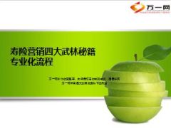 寿险营销四工具小便签工作日志P100A30C10客户档案册16页.ppt