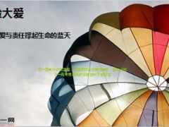 保险大爱用爱与责任撑起生命的蓝天24页.ppt