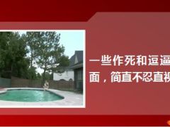 每日快乐早会15年7月10日使用15页.ppt